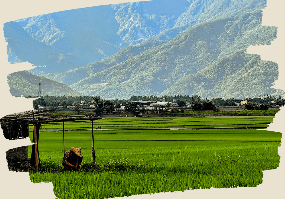 Untitled design (2) (1)